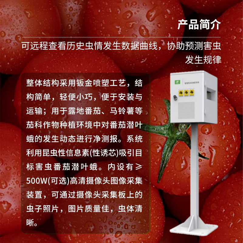 番茄潛葉蛾智慧性誘測(cè)報(bào)系統(tǒng)：高效誘蟲(chóng)、殺蟲(chóng)